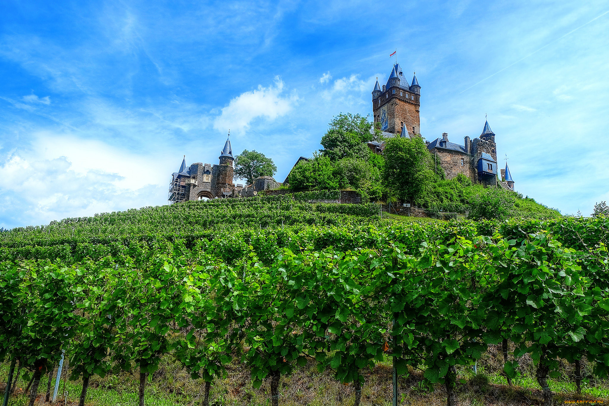 castle in the vineyards - cochem,  mosel valley, ,  , , 